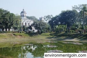 Revival of ecosystems improving environment in greater Rangpur