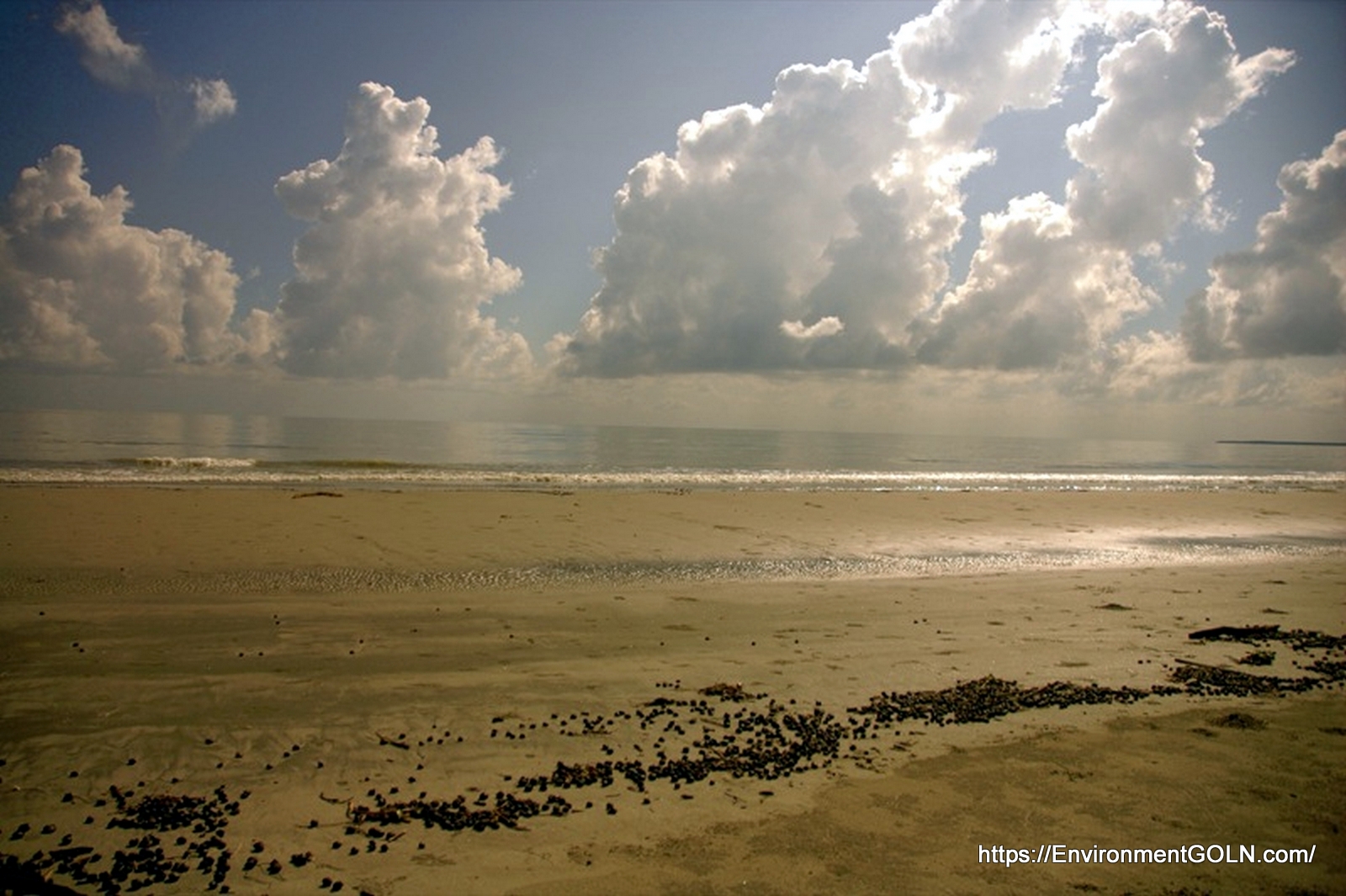 সুন্দরবনের দীর্ঘ কাদা চর [ Mudflat and clouds in Sundarbans ]